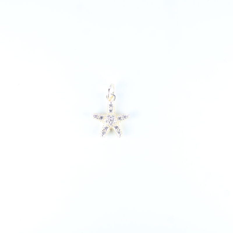 Dije estrella 13,30mm