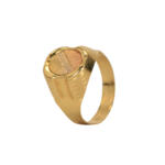 Anillo Placa tres oros talla 10