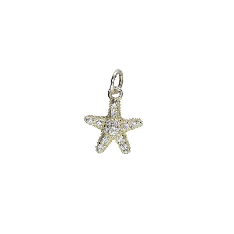Dije Estrella Plata 13,30mm